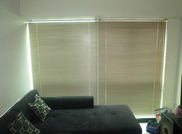 Venetian Blinds and Its Simplicity's Charm