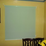 Green Sunscreen Roller Shade