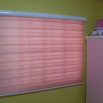 DS Windows & Walls Combi Blinds Creation