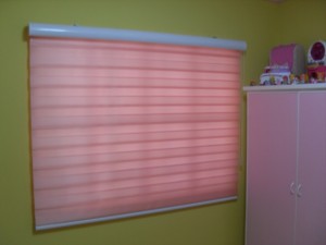 DS Windows & Walls Combi Blinds Creation