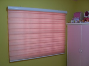 DS Windows & Walls Combi Blinds Creation