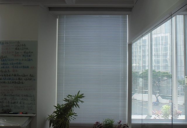 Venetian Blinds : White Color for Offices