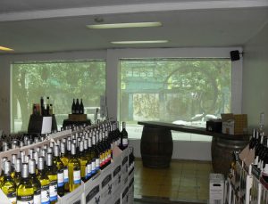 Sunscreen Roller Blinds Installation at Wine Depot