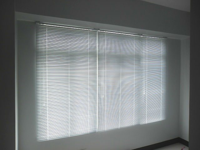 Mini Blinds: White Satin