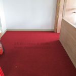 Easy to Clean and Deodorize Carpet from DS Windows & Walls
