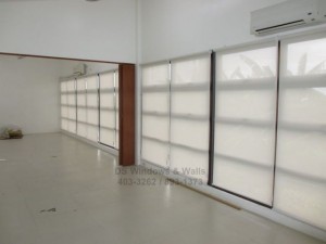 Roller shades and folding door project