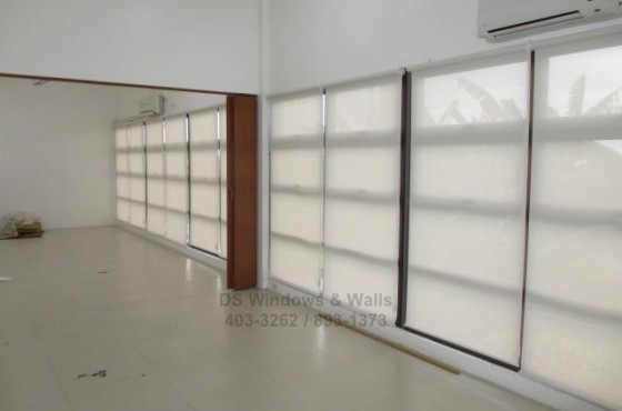 Roller shades and folding door project