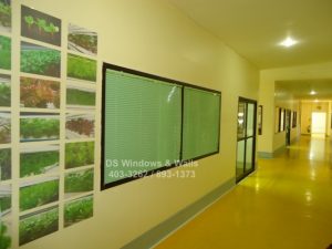 Apple green venetian blinds