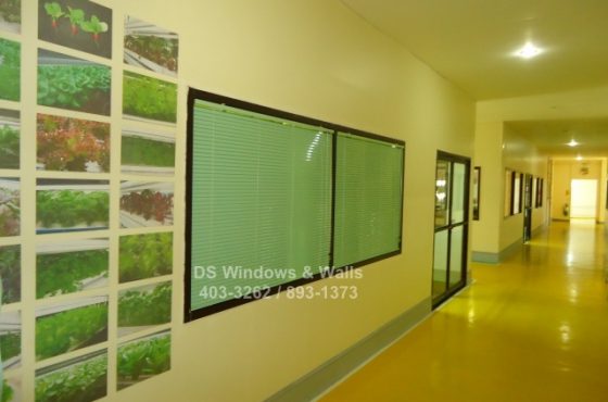 Apple green venetian blinds